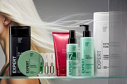 Expert Hair
